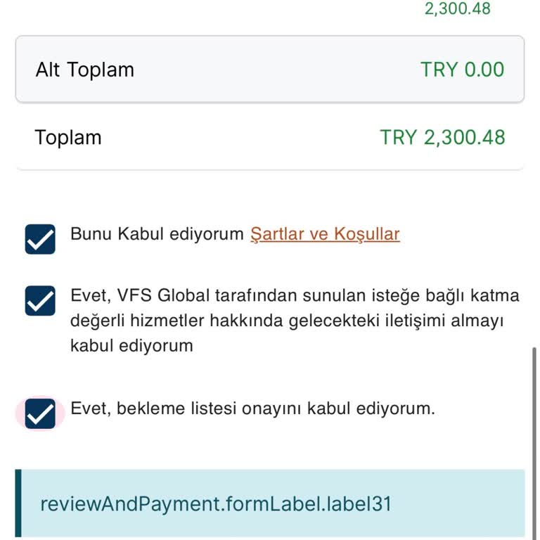 VFS Global Vize Randevu Sisteminde Hata Nedeniyle Randevu Kaçırma Sorunu