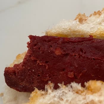 Aldığım Namet Sucuktan Kıl Çıktı İnsan Sağlığı Tehlikede