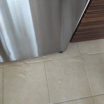 Bosch Buzdolabında Kronik Sorun ve Müşteri Mağduriyeti