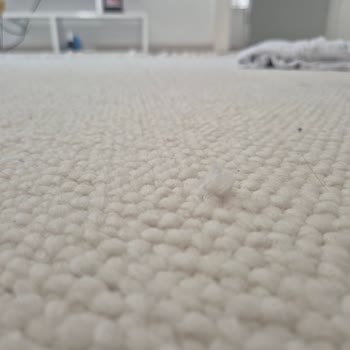 Aldığım Halı Hatalı Çıktı, Müşteri Hizmetleri İlgisiz Kaldı