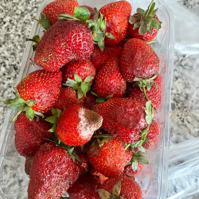 Çürük Ve Küflü Çilek Teslimatıyla Yaşanan Büyük Hayal Kırıklığı