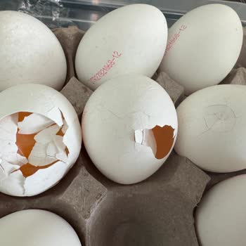 Kumartaşlı Gıda Kırık Ve Kalitesiz Yumurtalarla Tüketici Mağduriyeti