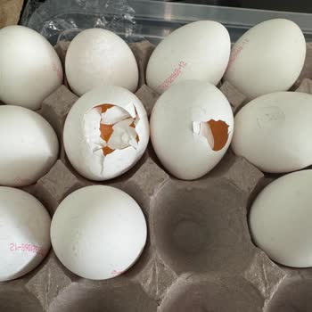 Kumartaşlı Gıda Kırık Ve Kalitesiz Yumurtalarla Tüketici Mağduriyeti