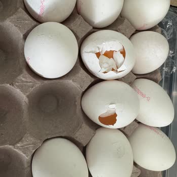 Kumartaşlı Gıda Kırık Ve Kalitesiz Yumurtalarla Tüketici Mağduriyeti