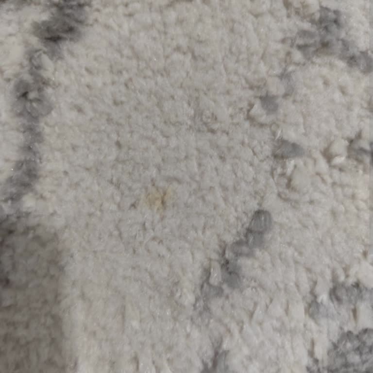 Halıdaki Lekeler Çıkmadı, Müşteri Memnuniyeti Sıfır