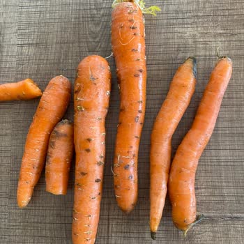 Küflü Peynir Ve Kötü Sebze-Meyve Teslimatı: Migros Sanal Market Hayal Kırıklığı