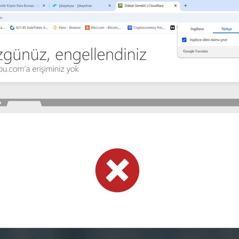 PC'den Paribu'ya Giriş Engellendi