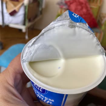 Gürsüt Krem Peynir Bozuk Halde Dolapta Bekliyor