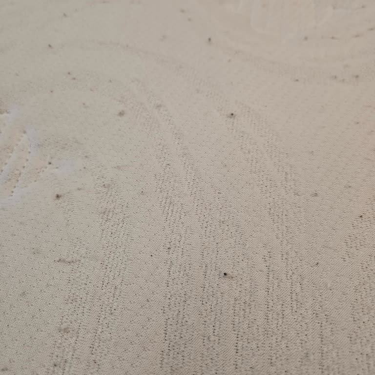 Ravizza Yatak Topaklanma Sorunu