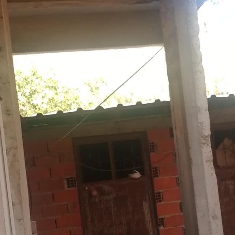 Apartmanda Altyapı Sorunu Nedeniyle İnternet Kullanamıyoruz