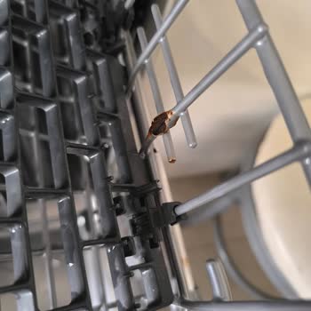 Arçelik Bulaşık Makinesinde Erken Paslanma Ve Garanti Desteği Sorunu