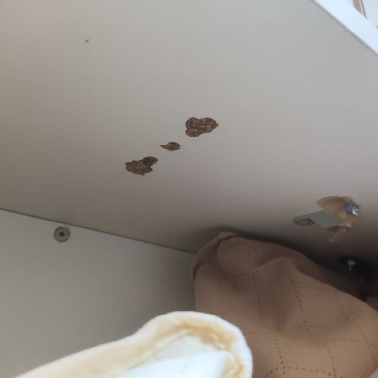 Baza Stoperi Sürekli Kırılıyor, Kalite Sorunu Çözülmüyor