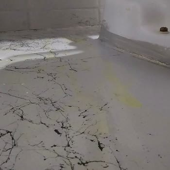 Polisan Fayans Boyası Ve Cila Ürünlerinde Sararma Sorunu Ve Firma Desteği Eksikliği