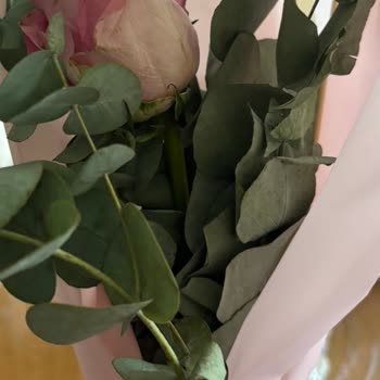 Solmuş Ve Özensiz Çiçek Teslimatıyla Özel Günüm Mahvoldu