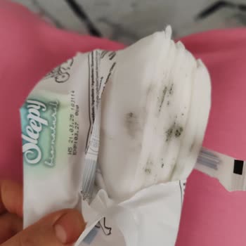 Bebek Islak Mendilinde Küf Şoku: Güvenim Sarsıldı