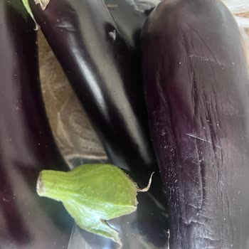 Migros Sanal Marketten Gelen Çürük Ve Hasarlı Sebze-Meyve, Yetersiz İade Süreci