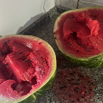 Çürük Karpuz Gönderimi Ve İlgisiz Müşteri Hizmeti