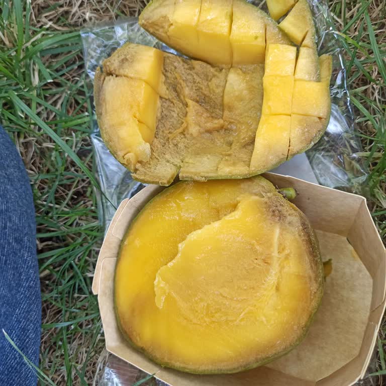 Migros'tan Satın Aldığım Mango Çürük Çıktı