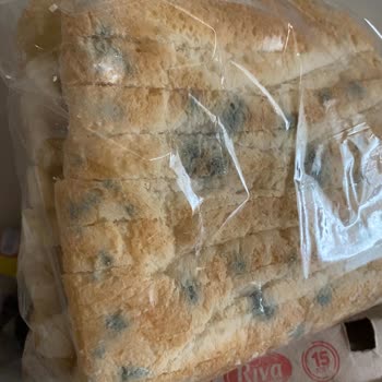 A101 Kapıda Siparişimde Deterjan Akıntısı Nedeniyle Ekmek Küflendi, İade Talebim Sonuçlanmadı