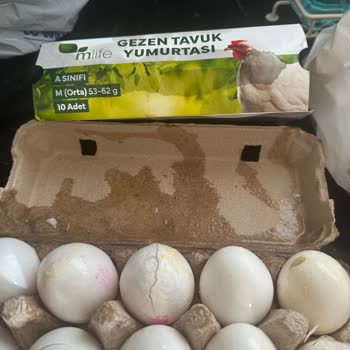 Migros Sanal Marketten Kırık Yumurta Teslimatı Ve İlgisiz Müşteri Hizmeti