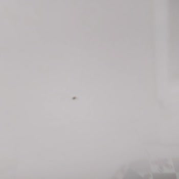 Aldığım Masa Sandalye Takımı Kusurlu Ve İlgisiz Satıcı