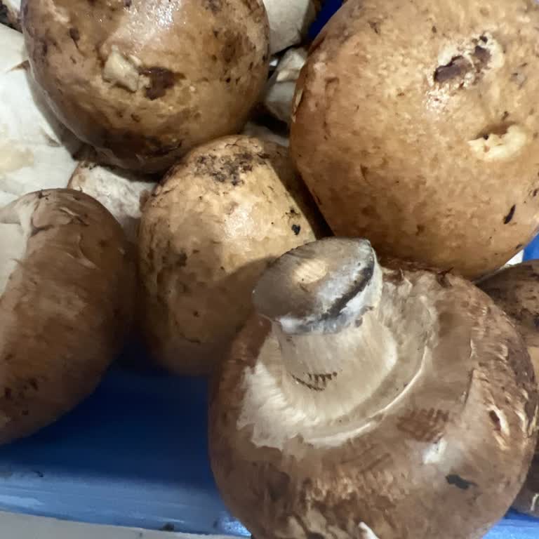 Küflü Ve Yapışkan Mantar Satışı Hayal Kırıklığı Yarattı