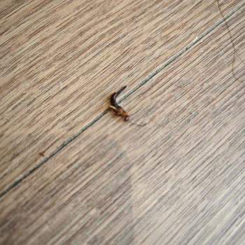 Tatilde Kabusa Dönen Otel Deneyimi: Hijyen Sorunu, Eşya Kaybı Ve Ciddi İhmal