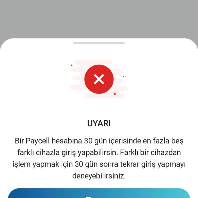 Farklı Cihazlardan Giriş Kısıtlaması İşimi Aksatıyor