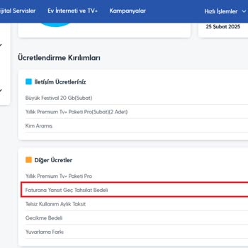 Otomatik Ödemede Gecikme Bedeli Haksız Tahsil Edildi