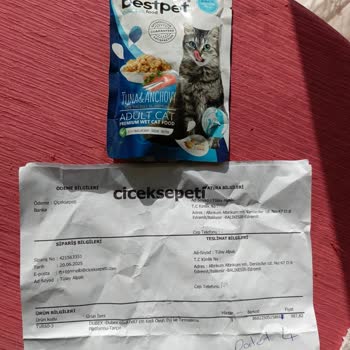Yanlış Ürün Gönderimi: Kedi Evi Yerine Yaş Mama Teslimatı