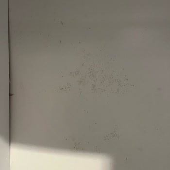 Gardropta Küflenme Ve Mağaza Tarafından Çözüm Sunulmaması