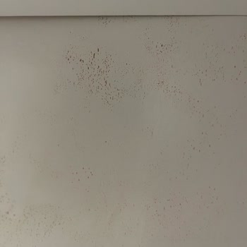 Gardropta Küflenme Ve Mağaza Tarafından Çözüm Sunulmaması