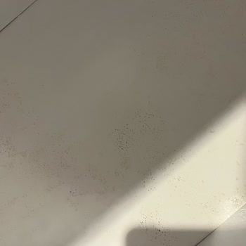 Gardropta Küflenme Ve Mağaza Tarafından Çözüm Sunulmaması