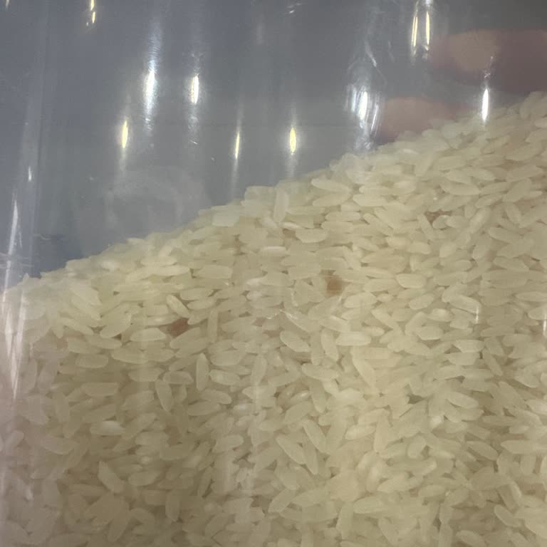 Aldığım Pirincin İçinden Yabancı Maddeler Çıktı