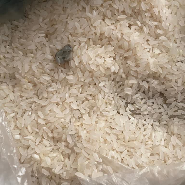 A101’den Aldığım Pirinçte Küf Çıktı, Değişim Yapılmadı