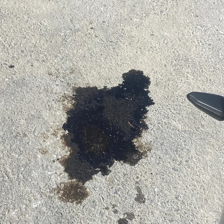 Garantili Motosikletimde Benzin Sızıntısı Ve Çözülmeyen Servis Süreci