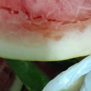 Çürük Karpuz İçin Destek Alamadım, Mağdur Edildim