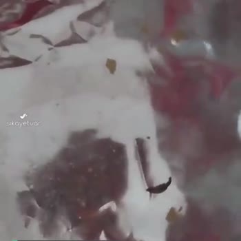 Lays Yoğurt Ve Mevsim Yeşillikli Cipsi Aldım Fakat Yabancı Madde Çıktı!