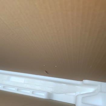 Kırık Gelen TV İçin Değişim Sürecinde Mağduriyet Ve Oyalama