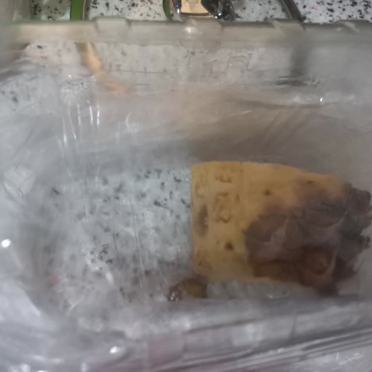 Siparişimde Hatalı Ürün Ve Müşteri Hizmetlerine Ulaşılamaması