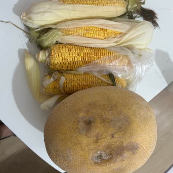 Migros Siparişim Geç Teslim Edildi Ve Ürünler Bozuk Geldi