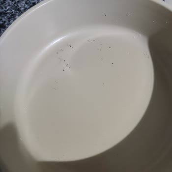 Neoflam Tencere Setinde Çizik, Küf Ve Kulp Sorunu Nedeniyle Mağduriyet Yaşadım