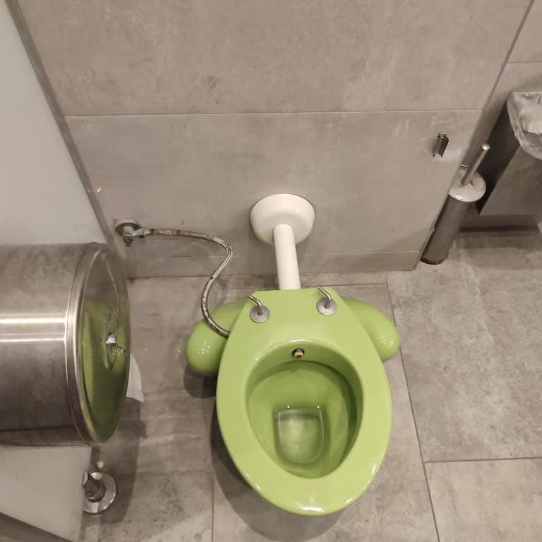 Çocuk Klozetinde Yıllardır Eksik Olan Kapak Sorunu