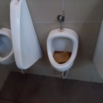 Doğa Koruma Ve Milli Parklar Dilek Yarımadası Milli Parkı Sıkıntıları