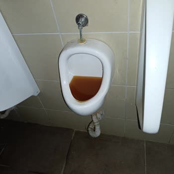 Doğa Koruma Ve Milli Parklar Dilek Yarımadası Milli Parkı Sıkıntıları