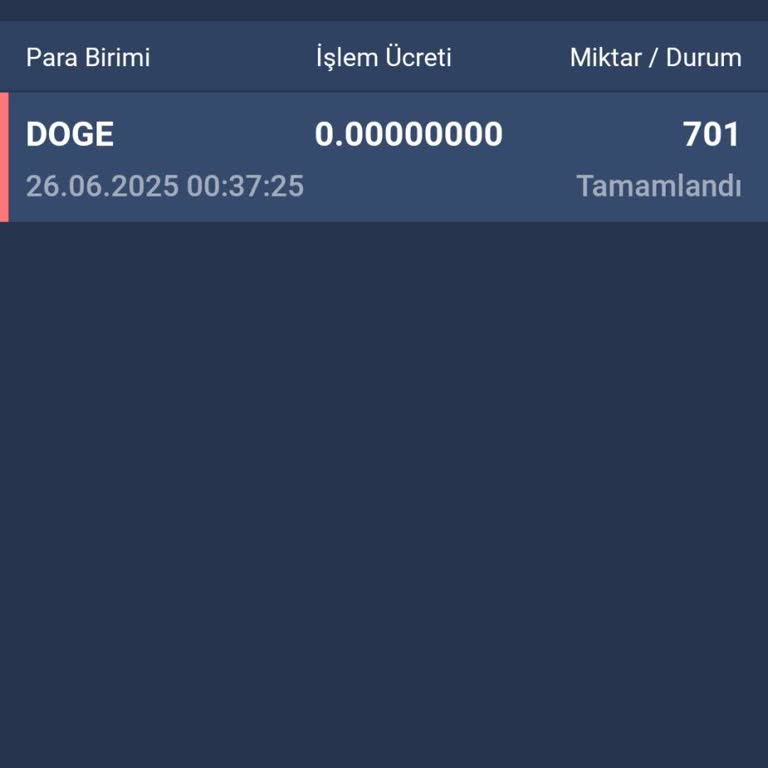 Hesabımdaki Dogecoin'lerin İzinsiz Transferi Ve Yetersiz Müşteri Hizmeti