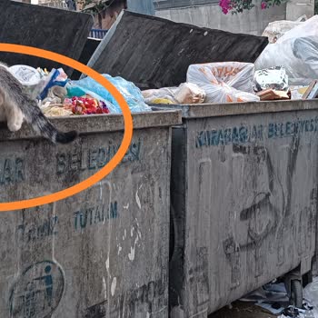 Karabağlar Mahallesi'ndeki Olumsuz Görüntüye Çözüm Bekliyoruz