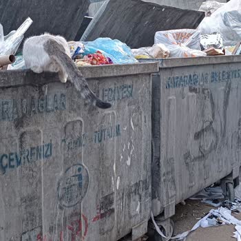 Karabağlar Mahallesi'ndeki Olumsuz Görüntüye Çözüm Bekliyoruz