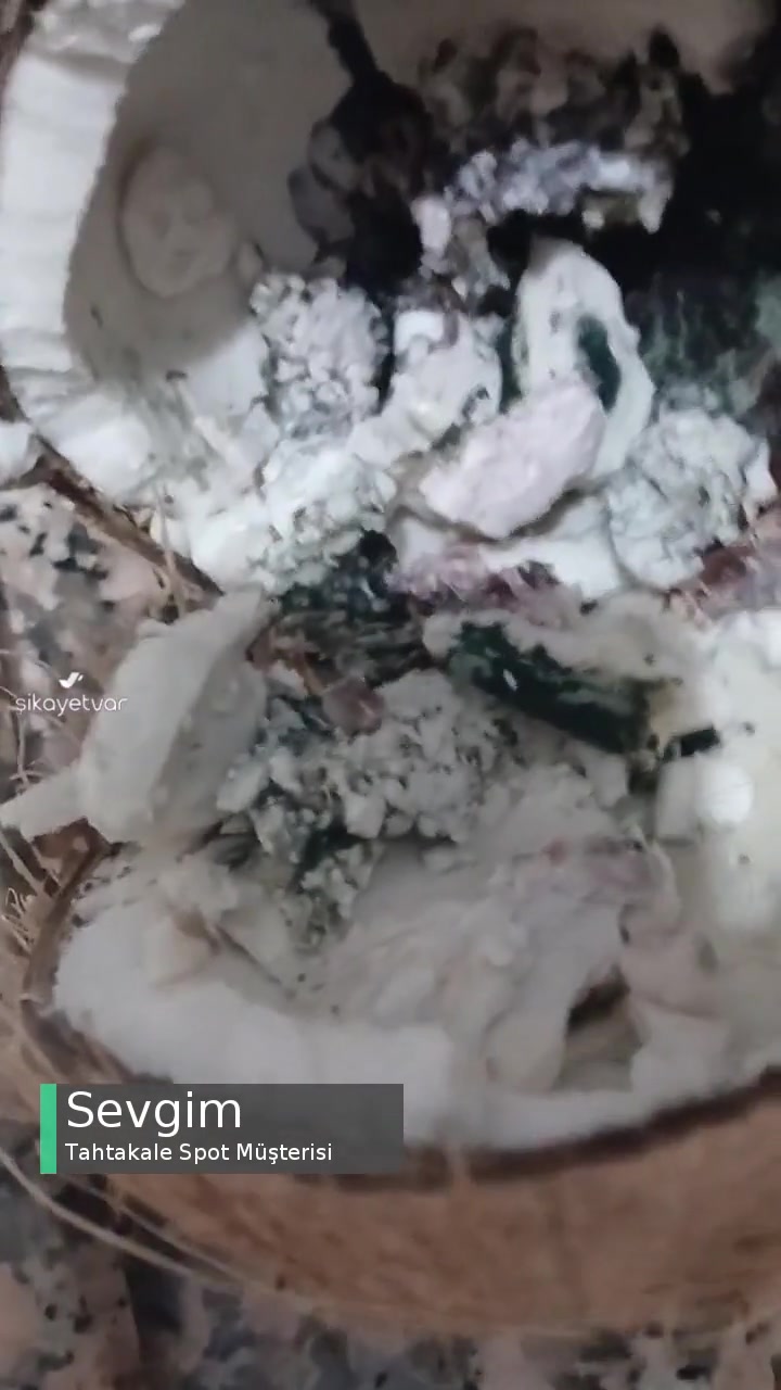 Tahtakale Spot Küflü Hindistan Cevizi! videonun kapak resmi