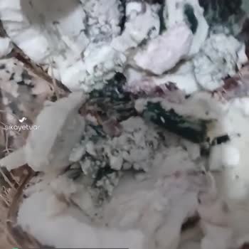 Tahtakale Spot Küflü Hindistan Cevizi!